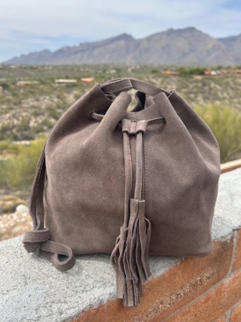 ROOST TAUPE SUEDE Bucket Drawstring BAG